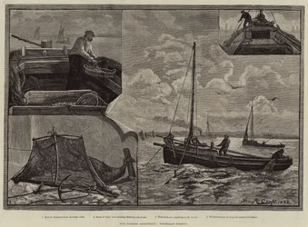 Unsere Fischereiindustrien, Weißfischfang